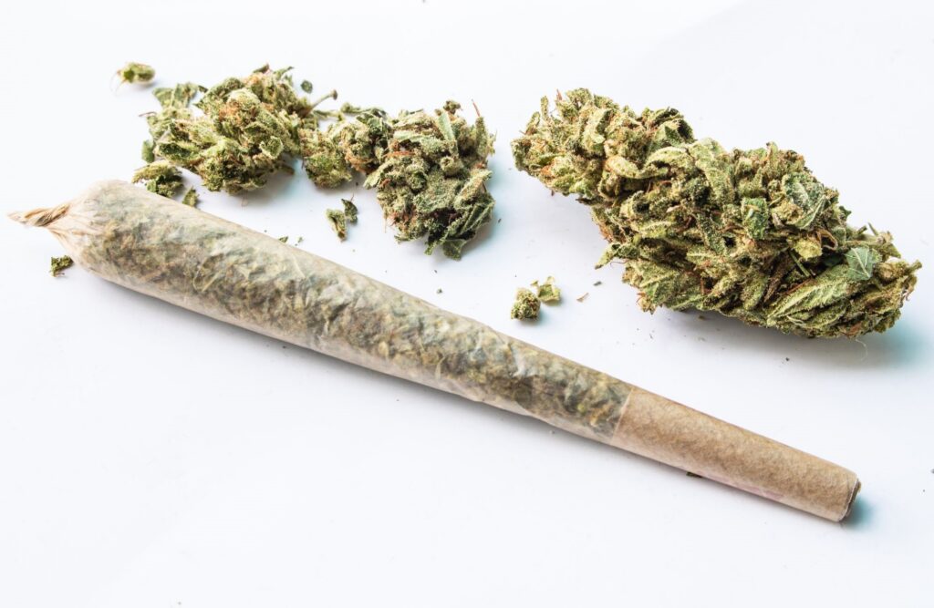 cannabis pre-rolls for beginners